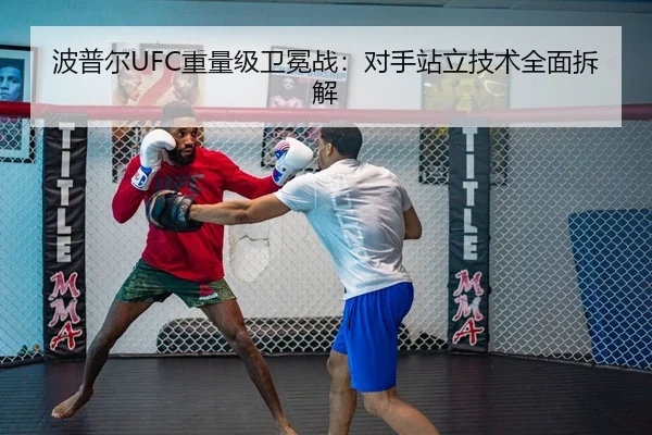 bo-pu-er-zhong-liang-ji-wei-mian-zhan-dui-shou-zhan-li-ji-shu-quan-mian-chai-jie-1-208.jpg - Tencent Sports
